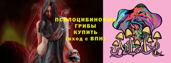 винт Абаза