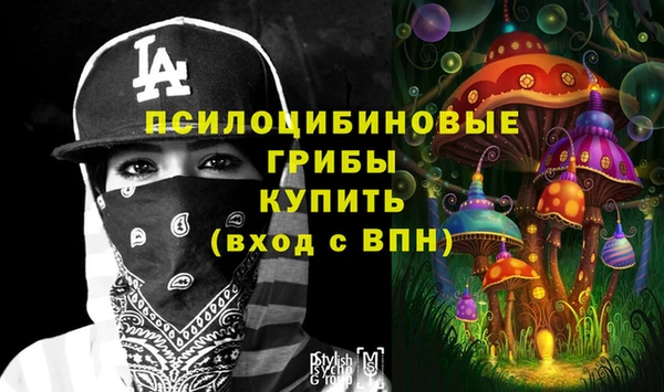 мдпв Пестово