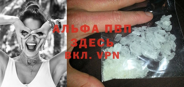 винт Абаза