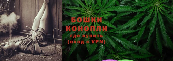 дмт Пересвет