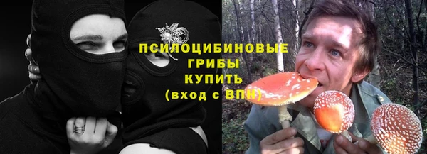 винт Абаза
